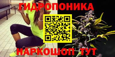 винт Татарск